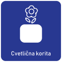 CVETLINA KORITA